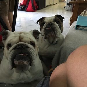 Meet your Posher, Dianna